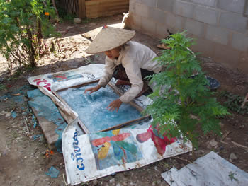 paper making in laos